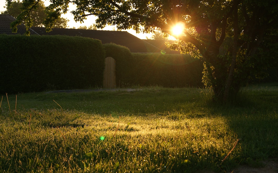 Green Grass Field