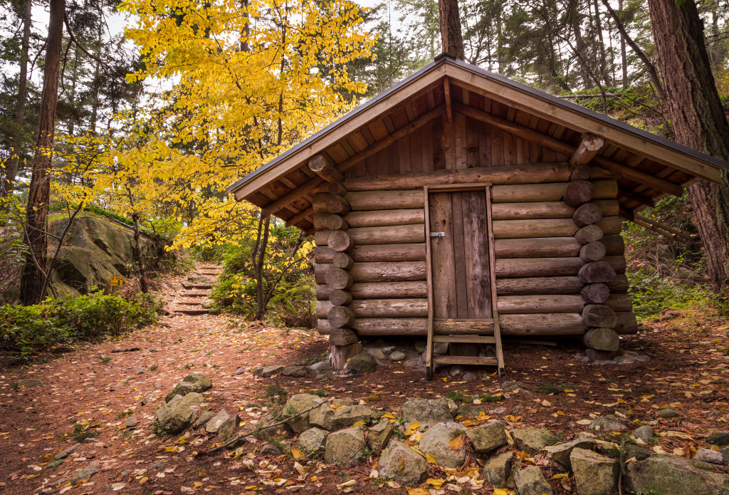 A cabin in the woods