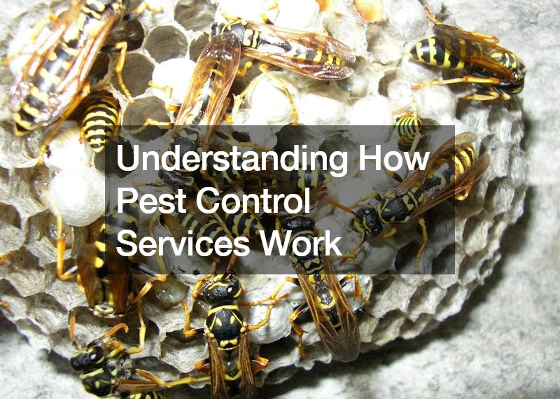 Understanding How Pest Control Services Work