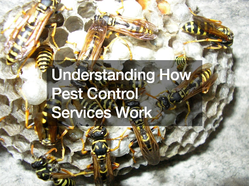 Understanding How Pest Control Services Work - Ace Work Gear