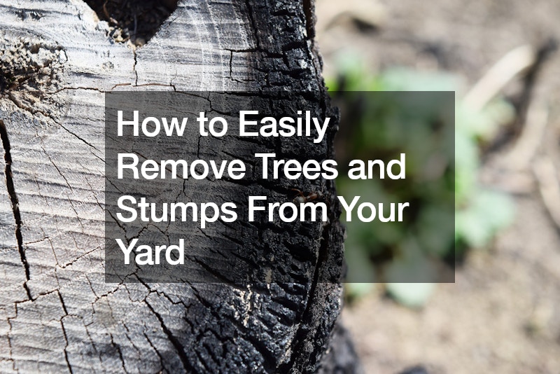 How to Easily Remove Trees and Stumps From Your Yard