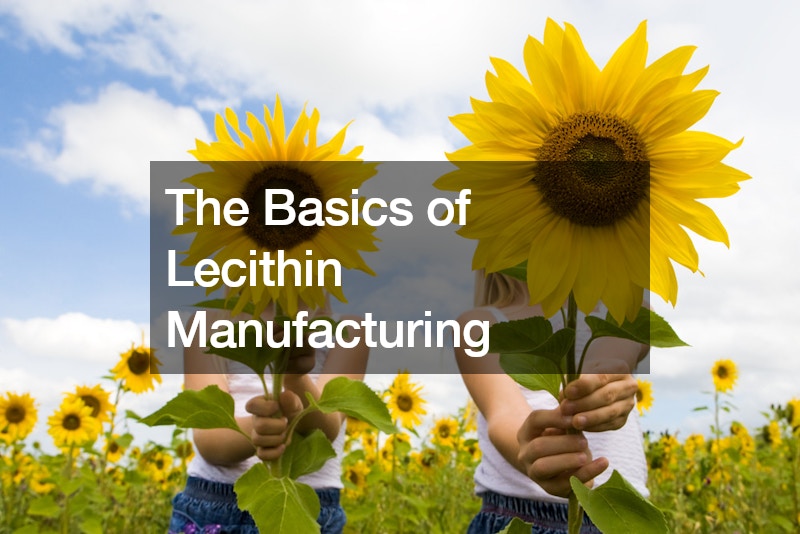The Basics of Lecithin Manufacturing
