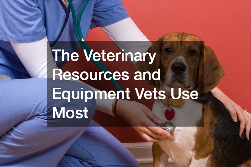 The Veterinary Resources and Equipment Vets Use Most