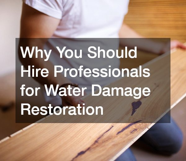 Why You Should Hire Professionals for Water Damage Restoration