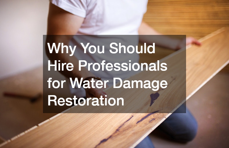 Why You Should Hire Professionals for Water Damage Restoration