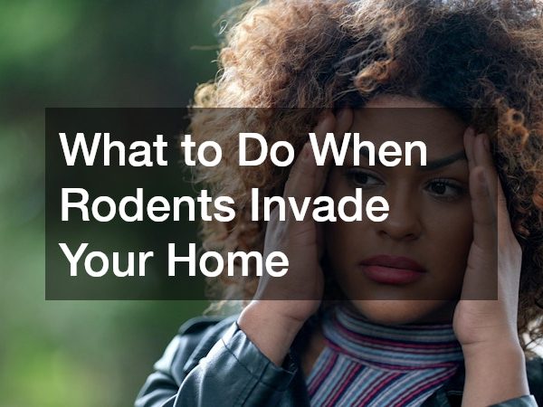What to Do When Rodents Invade Your Home