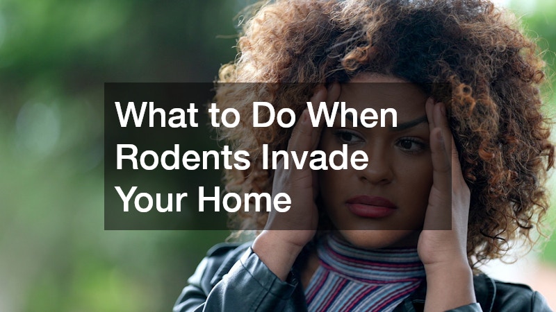 What to Do When Rodents Invade Your Home
