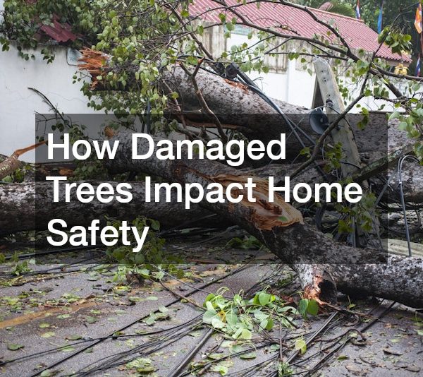 How Damaged Trees Impact Home Safety