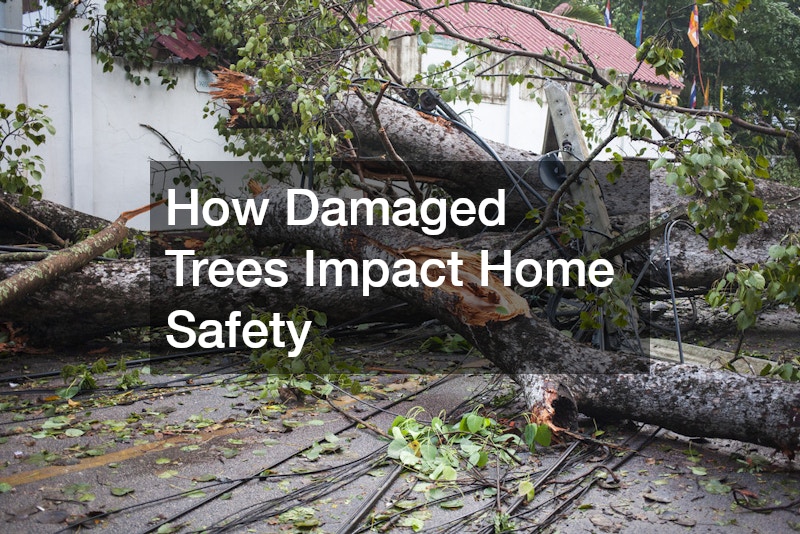 How Damaged Trees Impact Home Safety