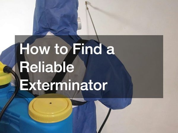 How to Find a Reliable Exterminator